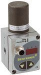 Riegler PV 2160-N PV 2930 PV 2910 PV 2250 proportional control valve