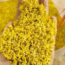 2025��؛���Ĺ��ֽ�𻨸ɿ�ʳ�ò��~�S�����l����B����