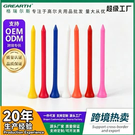 高尔夫配件;高尔夫球;高尔夫球钉