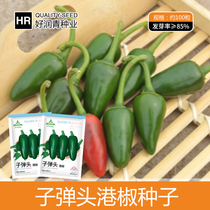 Manufacturer Wholesale Bullet Pepper Seeds, Small Pickled Peppers, Super Spicy Hong Kong Peppers, Pickled Millet, Spicy Peppers, Spicy Tribute Pepper Seeds Manufacturer Wholesale Bullet Pepper Seeds, Small Pickled Peppers, Super Spicy Hong Kong Peppers, Pickled Millet, Spicy Peppers, Spicy Tribute Pepper Seeds