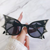 Sunglasses, glasses, internet celebrity, cat's eye, 2023 collection