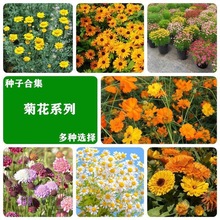 ˹ջNӸɣNѻɫļN_׳ɻͥԺͥ@ˇ