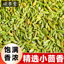 中药材小茴香甘肃茴香籽小回香小茴香调料香料卤肉料散装小茴香