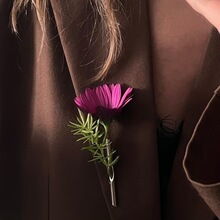 �羳��yʽ������N��Kind Brooch����һö��֦Ůʿ��������b�