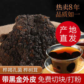 源头工厂桦树茸白桦茸黑金颗粒长白山正品桦褐孔菌切块一件代发