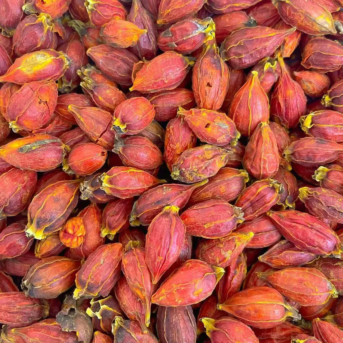 Оптовая продажа китайских травяных лекарств гардения, фрукты гардении, цветок гардении, чай, желтый чай гардении, краситель, китайские травяные лекарства, гардения