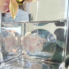 �~�׃����R���쾰չβ呟����ӑҸ������P̩�����~����Ӗ���R