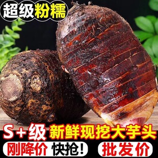 �V���������r�����^9���r���خa����ë���^���������߲˰��]10