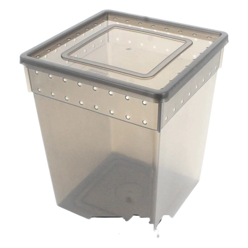 Жилище на дереве гусеничный ящик для ресниц угол Дворцовая гвардия ящик для кормления змея Богомол дерево лягушка паук высокий ящик большой ящик для кормления Бесплатная доставка