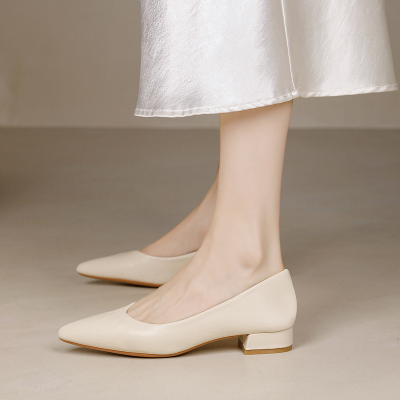 2026 New Style Chunky Heel Gentle Fairy Style Pointed Toe Slip-On Soft Sole Versatile Work Shoes for Women