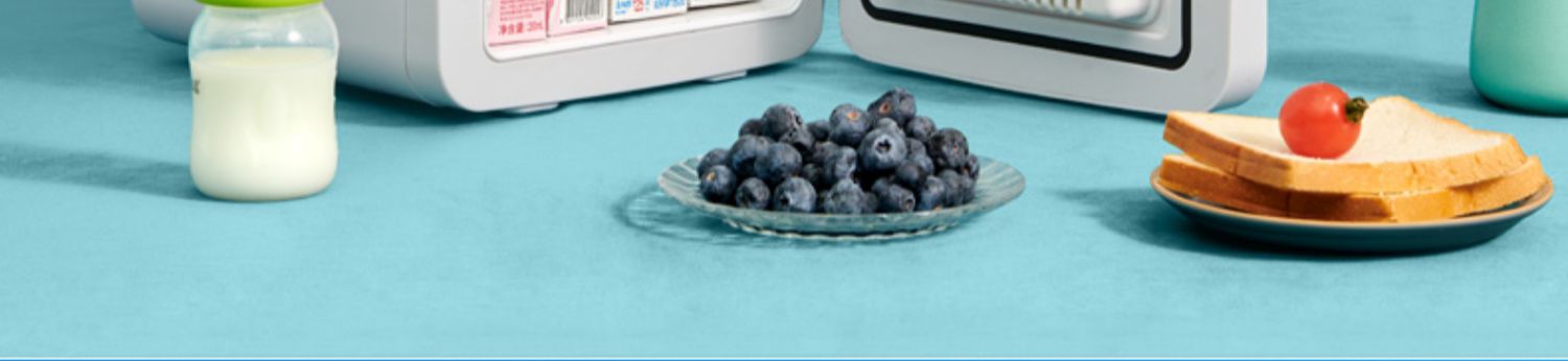 Mini refrigerator energy saving low energy consumption mini drug storage car compressor cosmetics storage car refrigerator