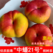 ��Ʒ�N�޽�����ձ����������Ҙ���10������Ѯ��������x���S����