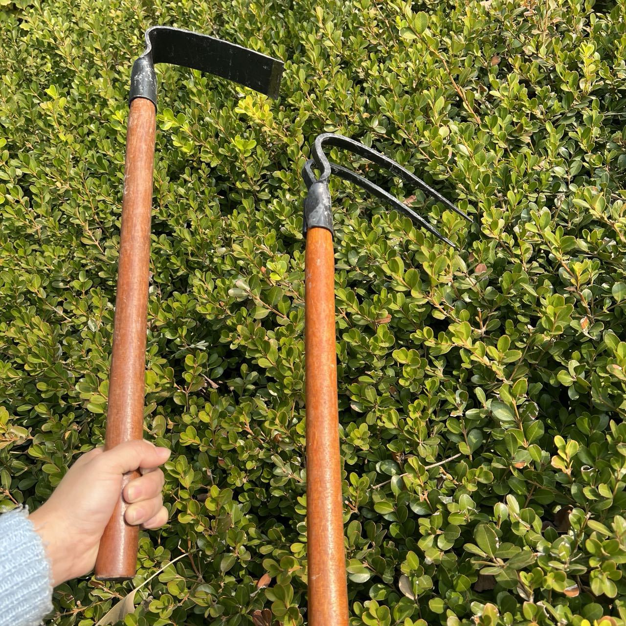 微信图片_20211111205525