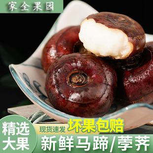 �������֭�����r�R�����lֱ������ѩ���ش��֭����ˮ���r���֭