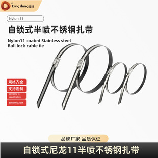 Customizable 304Ss Metal Strapping, Low Temperature Corrosion-Resistant Cable Fixing Nylon 11 Semi-Spray Stainless Steel Cable Ties