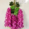 6 leaves purple