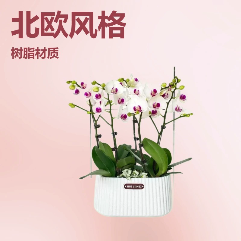 Белый пластиковый цветочный горшок, суккулент, фаленопсис, денежное дерево, креативный горшок с имитацией керамики, прямоугольный горшок, простой скандинавский стиль