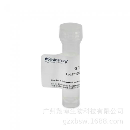 BL104A 蛋白酶K溶液（20mg/ml） 即用型试剂