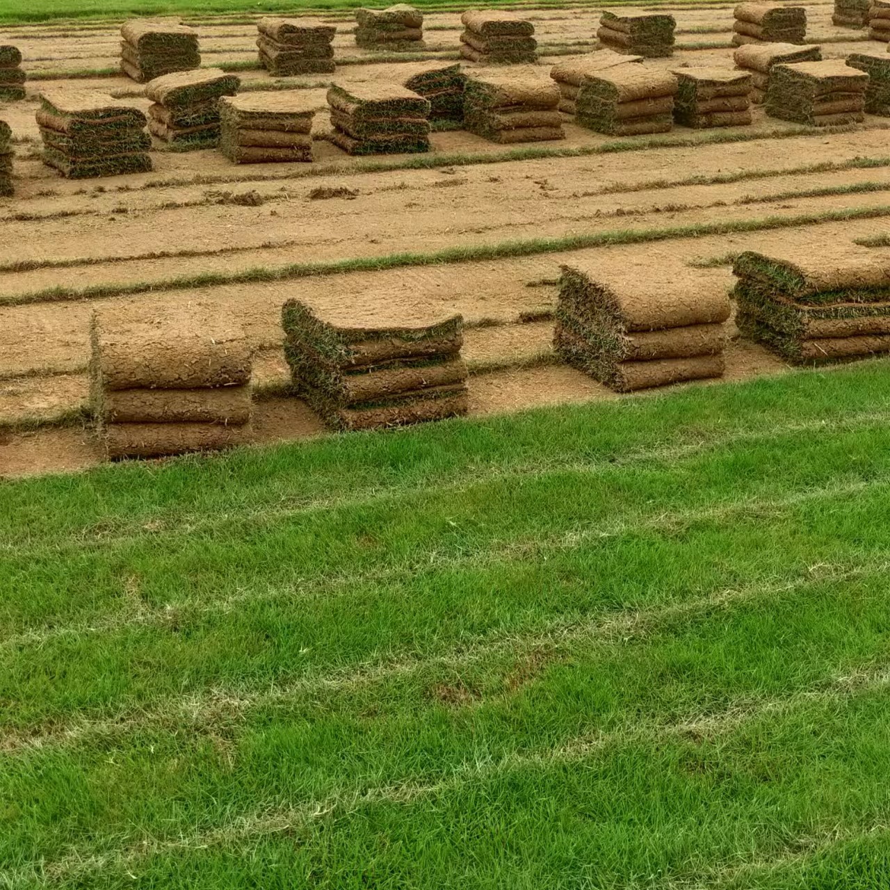 d31014d69b0cbed7b030606fb39e95