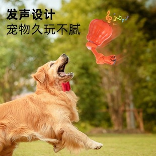 �������늄����������˽␞���������w����ҧ�l���̩�Ͽ»�Ȯ