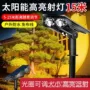 防水rgb公园太阳能照树灯