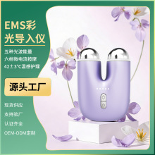 跨境脸部按摩导入仪精油提拉温热瘦脸仪EMS微电流震动按摩美容仪
