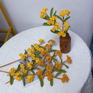 ë������������ɭϵ����𻨷��滨���ֹ��Y����Ů�ѷ������