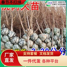 һlشҘԎ޽ӶSˮӵϱ