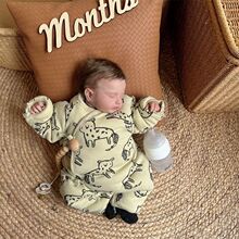 �������·��ﶬa��������Ӻ��޷��B�w�³�������С���g�����