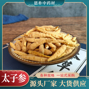 ���l̫�Ӆ���ș���ؘs̫�Ӆ��oβ��С�x300���a�ش�؛�F��̫�Ӆ�