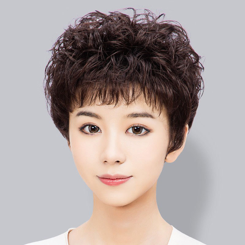 Wig Made of Real Hair for Women, Full Head Cover, Short Curly Hair, Mom's Short Hair, Permed Hairpiece, Middle-Aged Real Hair Strands to Cover Gray Hair
