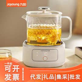 九.阳养生壶 家用办公室高硼硅玻璃多功能煮茶器烧水壶K10D-WY103