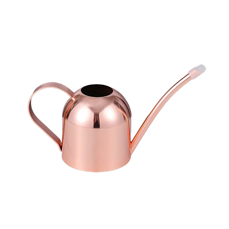 Olla de riego de acero inoxidable señaló boca Rosa regadera de oro metal vintage suculento planta verde regadera 1000ml image 7