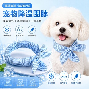 �ļ�؈�乷��������һ�����lС��Ȯ����ѩ�{�𽵜،���ɐۛ�����