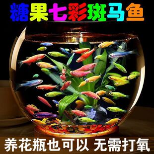 �׻���B�ǹ����R�~�Lβ�����^�p�~С�͟Ꭷ�~��ˮ�����~�W�t