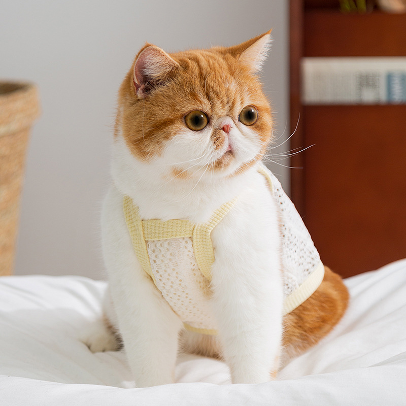 Primavera y verano gatito amor arco eslingas gatito pequeño gatito lindo perro Teddy ropa de mascotas