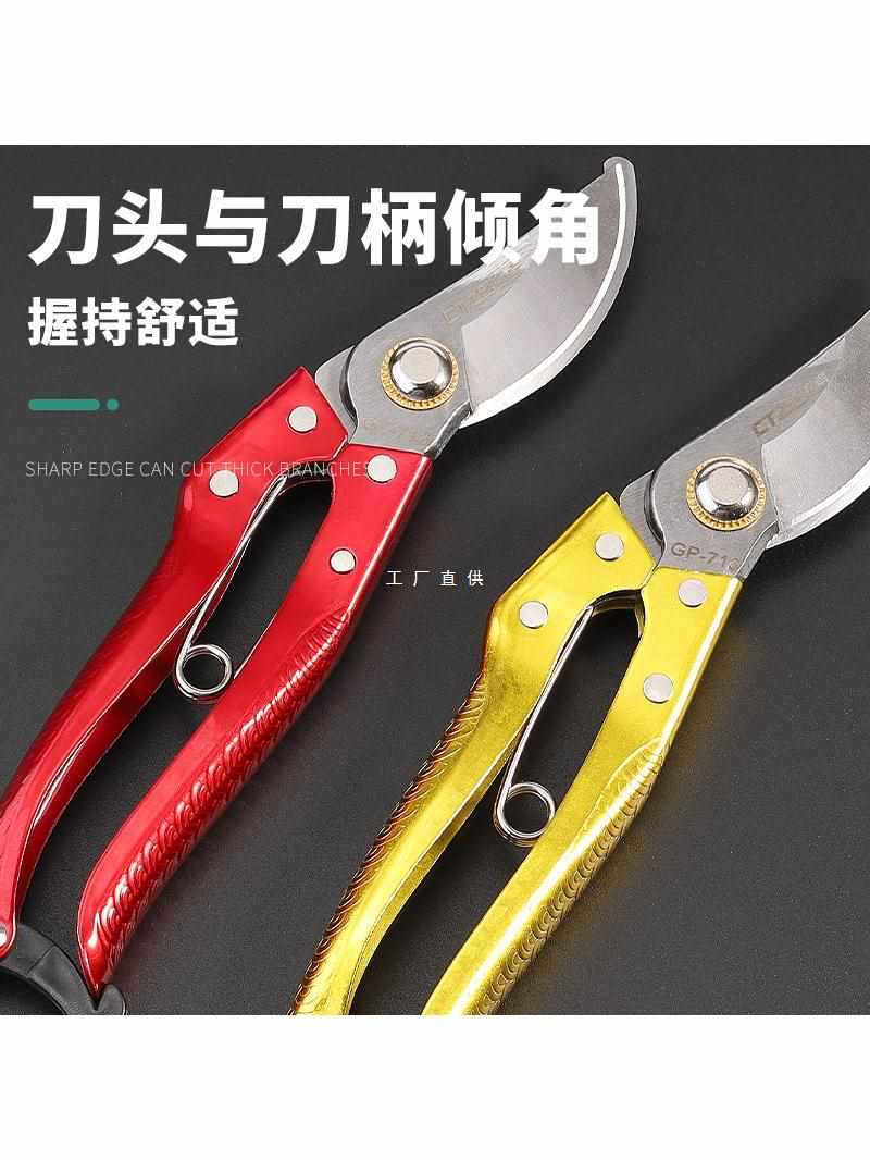 5IJO园艺剪枝剪刀修枝剪果树不锈钢园林花艺剪子工具修剪树枝剪刀