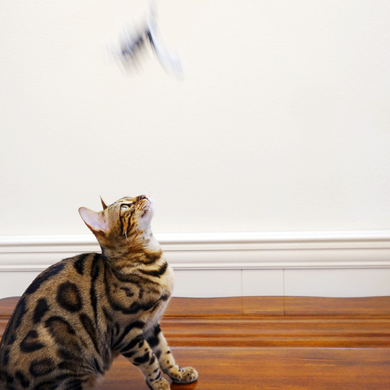 aa86932924e585099c6dcdfd2233e2