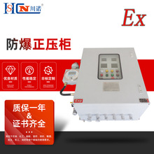 防爆仪表箱配电柜防爆配电柜 正压防爆仪表柜 防爆正压柜控制柜