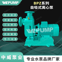 BPZ150-300ҵWLPUMPúˮܵѹ