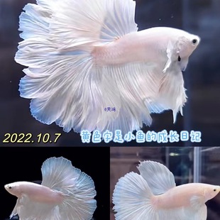 ̩�����~�鼆β�^�p�~��ˮ�~�Ꭷ�~����С������B�ͻ���]