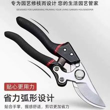 ����ˇ�M���֦��������ӹ������֦�������û�ľ�����޼���֦