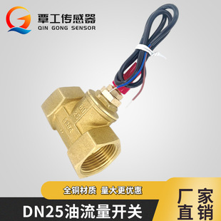 Brass Oil Flow Switch 1inch Dn25 Normally Open Flow Signal Switch Industrial Water Heater Household Water Pump