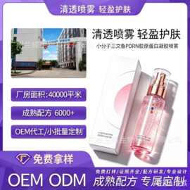 OEM定制小分子三文鱼PDRN胶原蛋白精华补水紧致抗皱保湿精华喷雾