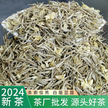 2024新茶茉莉兰妃茉莉茶王 横县茉莉花茶 茶叶散装 白毫银针批发