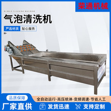 全自动气泡喷淋清洗机 红枣辣椒毛豆连续式清洗设备 清洗风干机器