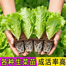 �������玧������������ͺ����ʹ����ļ��������N�ﶬ�߲���