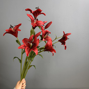 ���Sֱ�N ����ٺϻ�PU��֧���� �߼��ҾƵ껨ˇ�廨�b��ָ����