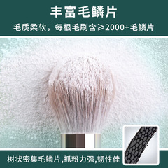 14支綠雲化妝刷套裝全套滄州大散粉刷軟毛美妝工具眼影刷批發