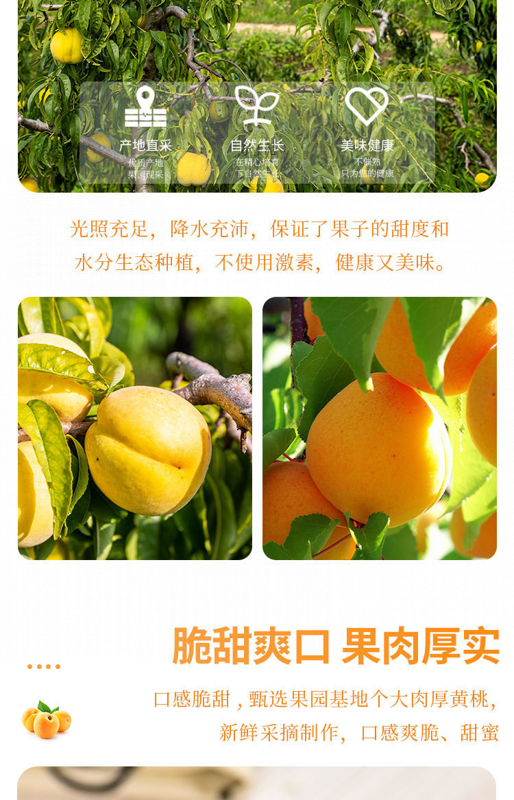 1e3b396c-04fe-4d81-a8b2-af1818eda687.jpe